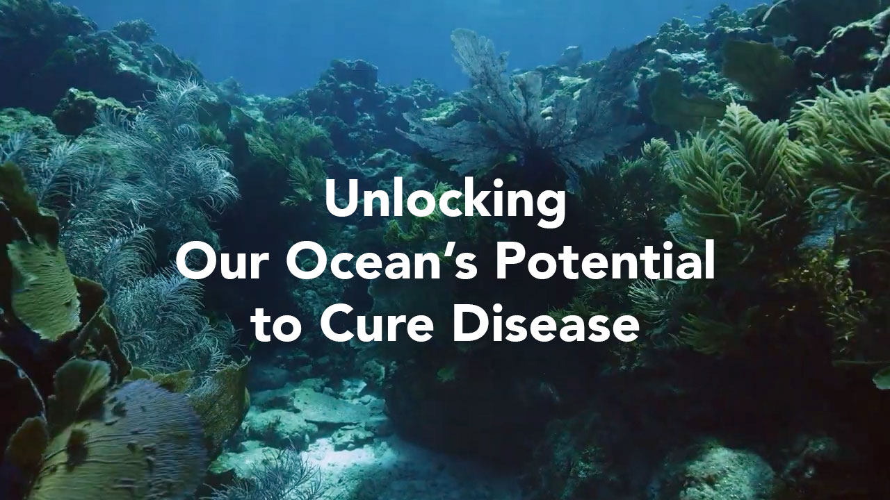 Title card for Unlocking Our Ocean's Potential to Cure Disease